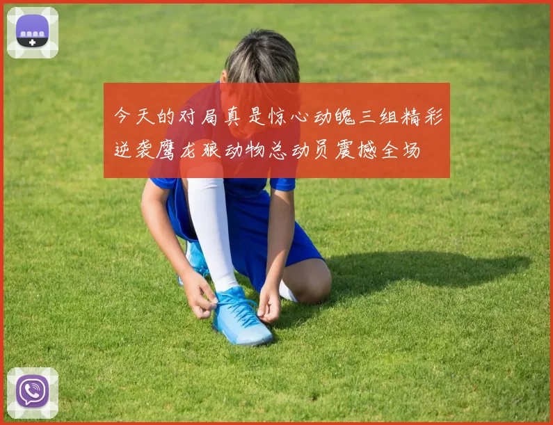 今天的对局真是惊心动魄三组精彩逆袭鹰龙狼动物总动员震撼全场